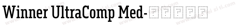Winner UltraComp Med字体转换